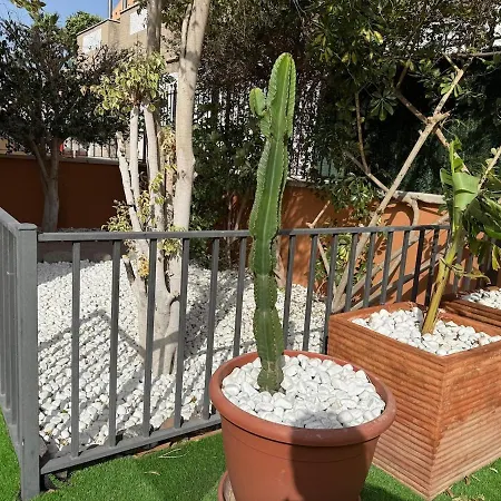 Dodomi Apartment Costa Adeje (Tenerife)